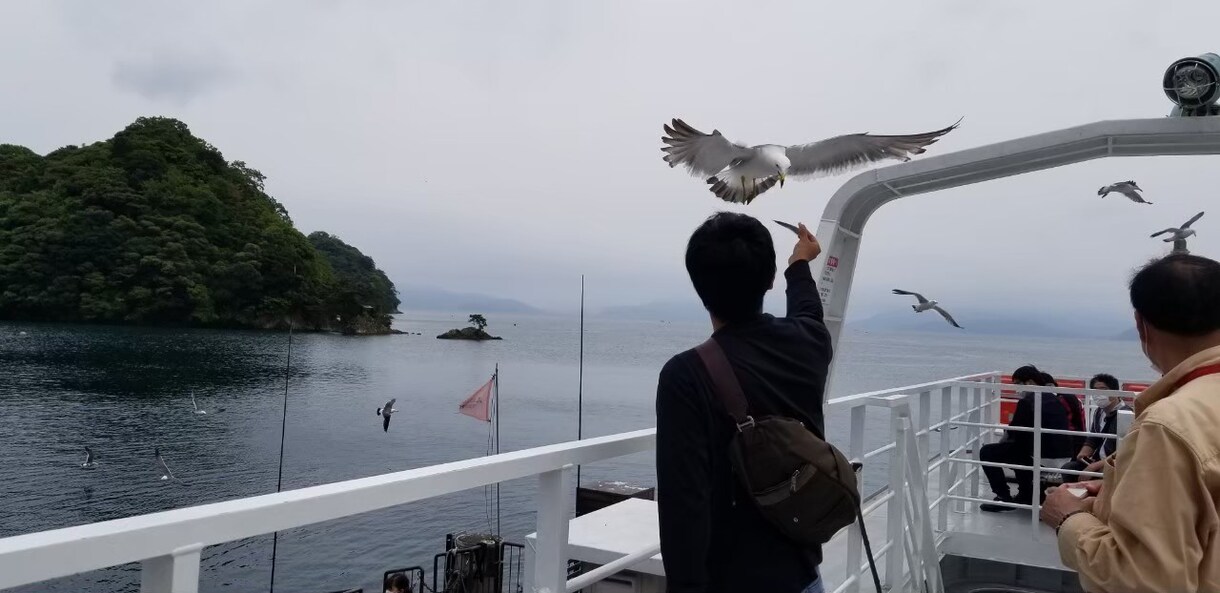 関西発≫旅行やデートのご相談承ります ★47都道府県制覇済★旅行・デートなどの相談お気軽にどうぞ イメージ3