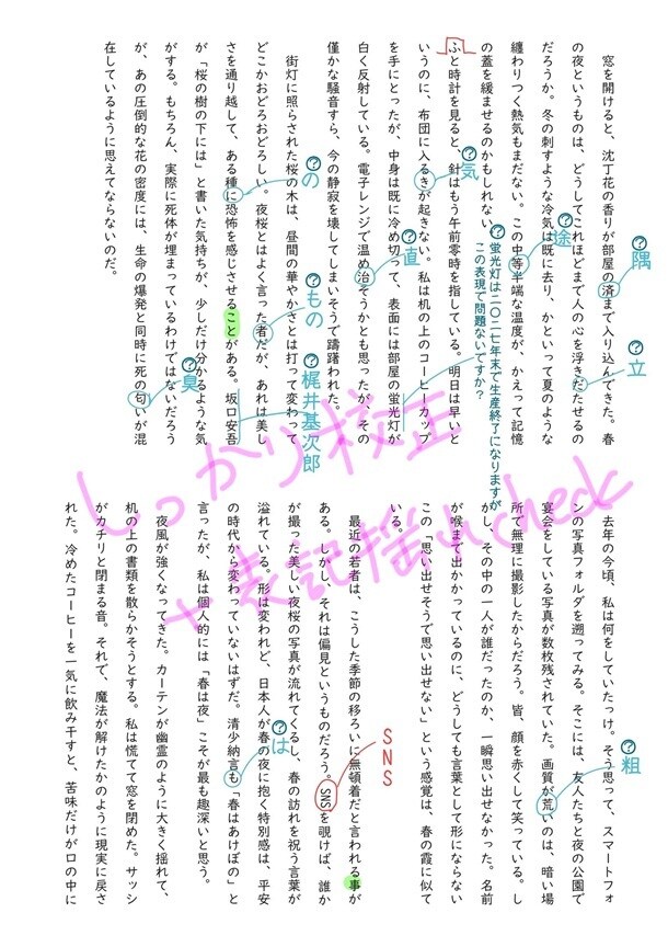 5枠限定大幅値下げ※日本語データの校正します 添削不要、文章の専門家の目を通したい、という方に最適 イメージ1