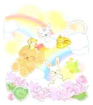 誰にも言えない悩み　お聞きします 泣いたり笑ったり人生いろいろ　あなたの心に寄り添います イメージ2