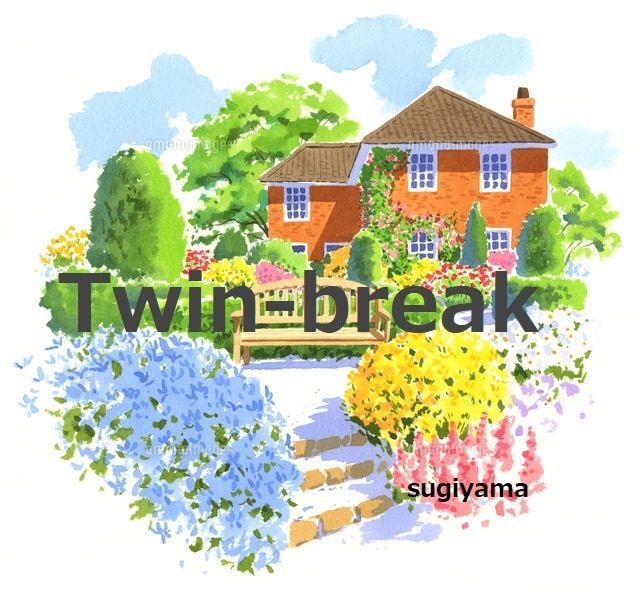 初動を掴む“ ツインブレイク ” 完結編となります 初心者でも理解でき このまま使える 即効性のある手法です。 イメージ2