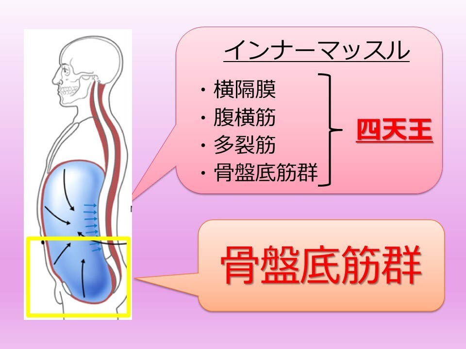 全身呼吸・筋膜リリースで無理なくダイエットできます 全身活性・筋膜リリースで横隔膜をしっかり動かし痩せ体質に！ イメージ3