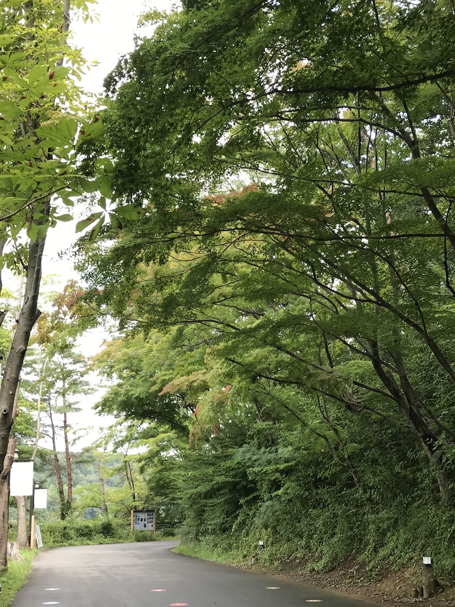 話してみたらすっきりするかも？あなたのお話聞きます 「癒しの母」があなたの気持ちをしっかり受け止めます！ イメージ3