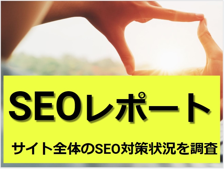 WEBサイト全体のSEO対策レポートを作成します 月次診断としても◎安価で高品質なSEOレポートで売上アップ! イメージ1