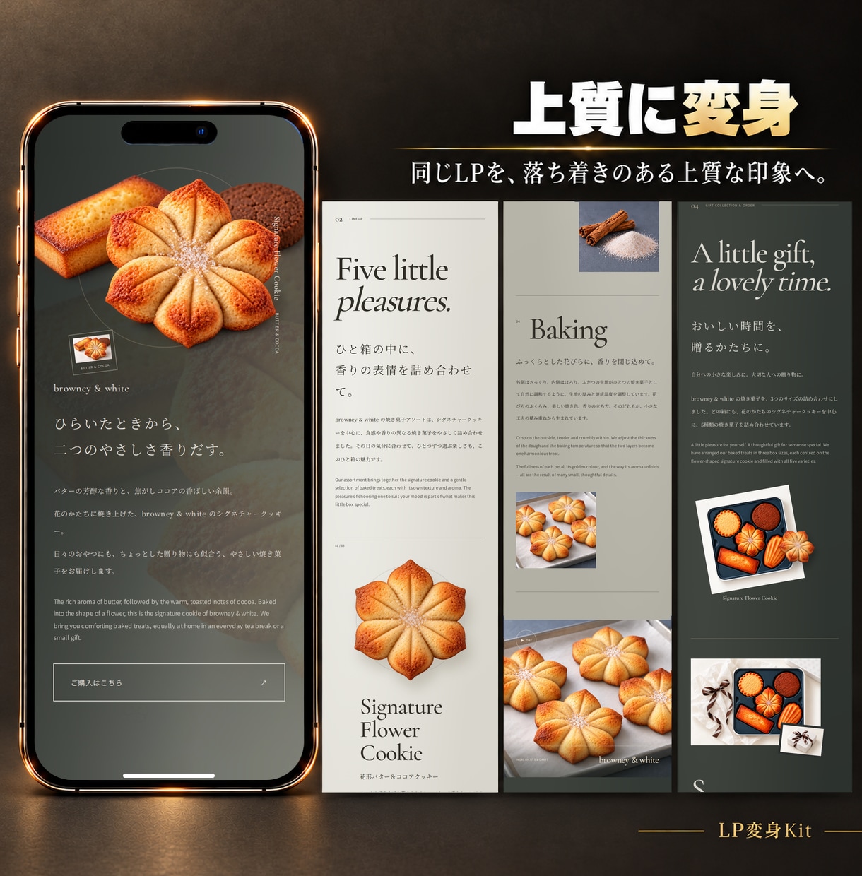 今あるLPをデザインだけで変身させます 文章も構成もそのまま。見映えをガラッと一新！ イメージ5