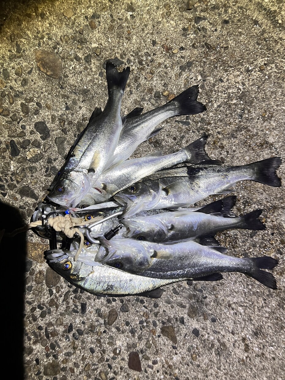 中級者向け、ルアーフィッシングへの第一歩支援します 釣り歴20年の私がルアー釣りのノウハウ伝授します！ イメージ4
