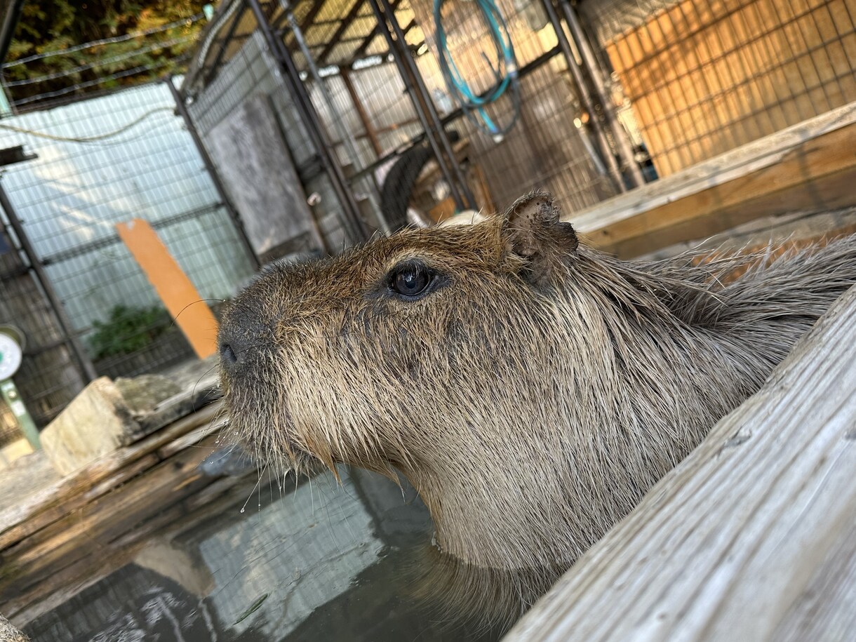 お悩み相談受けます。お話し相手になります 看護師三年目です。なんでも話してください！ イメージ1