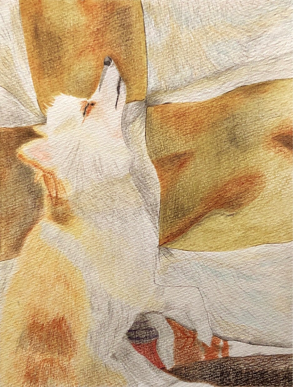 ペットや動物を色鉛筆でリアルに描きます ペットの思い出づくりにいかがですか？ イメージ1