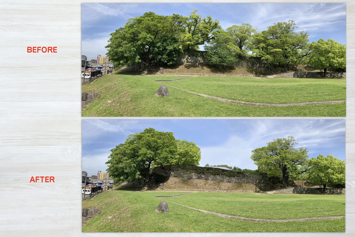 写真の切り抜き＆合成＆補正作業お受けいたします 安心、丁寧な対応で経歴20年のプロが仕上げます イメージ8