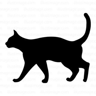 猫の心配事解決します 複数猫を飼ってる経験と実体験を教えます！ イメージ1