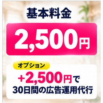 美容サロン向けMeta広告の初期設定をます 美容サロンのInstagram・Facebook広告に対応！ イメージ9