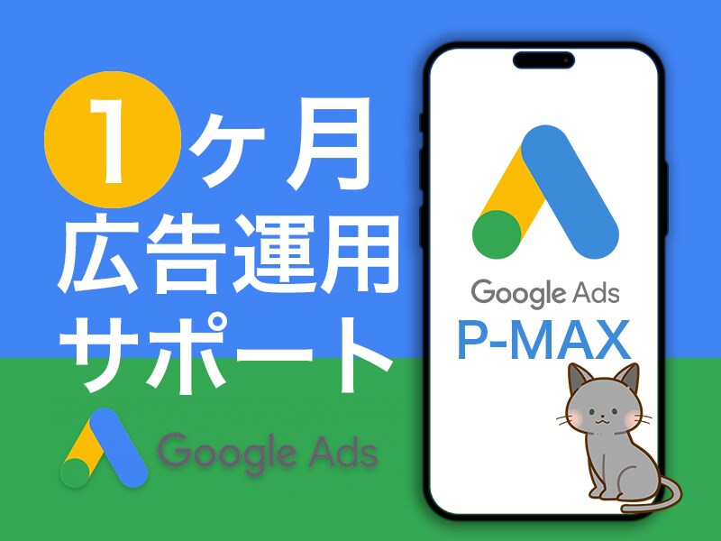 Google P-MAX広告1ヵ月運用代行します 広告代理店出身者⭐︎1ヶ月間サポート付き イメージ1