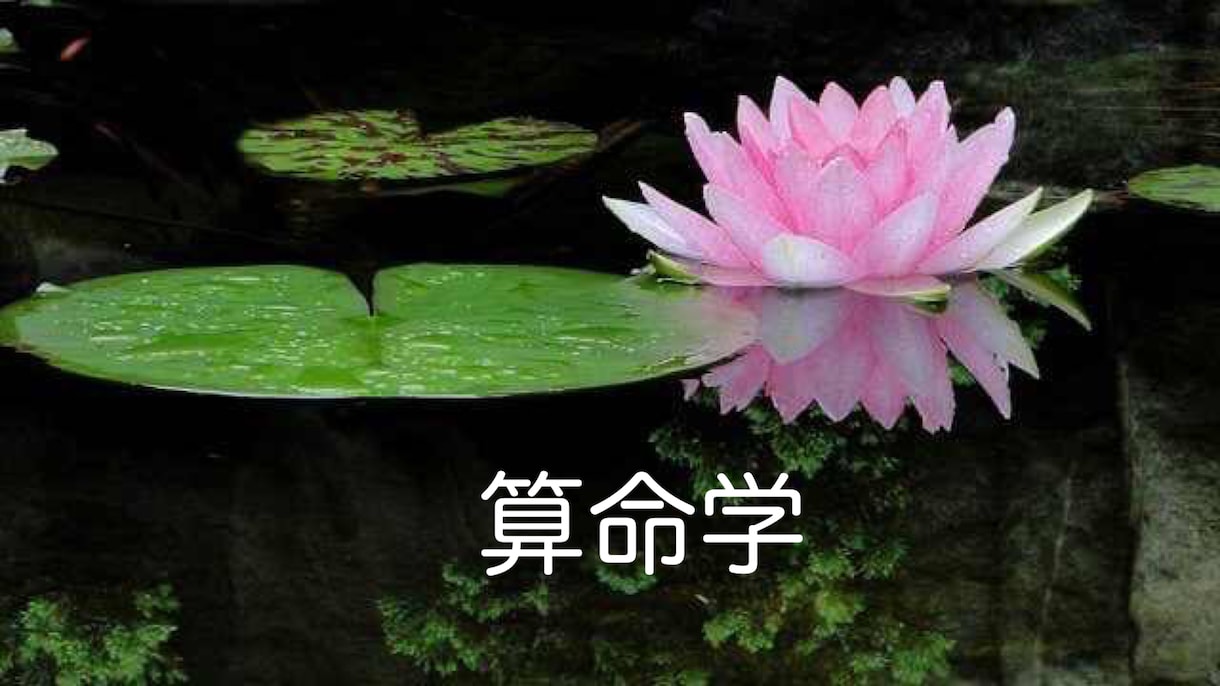 お悩み解決。算命学で運を切り開きます 生年月日から、素晴らしい人生を導きます。 イメージ1