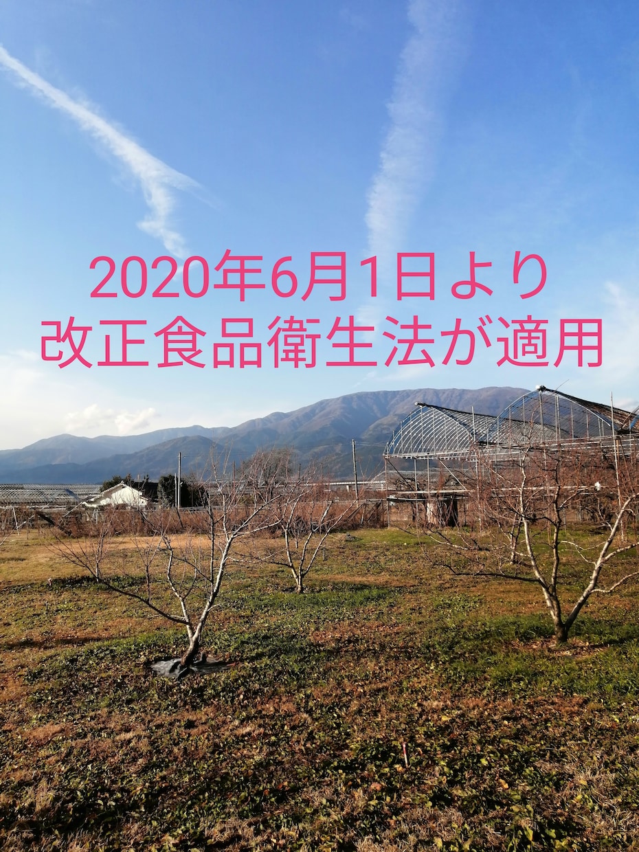 HACCPの考え方　衛生管理の書類作成致します 6/1 改正食品衛生が適用となり、HACCPの義務化が開始 イメージ2