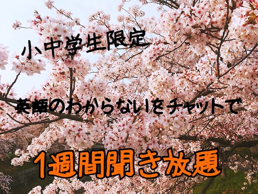 小中学生の授業でわからなかった英語教えます 学校や塾についていけないお子様をサポート！1週間相談し放題！ イメージ1