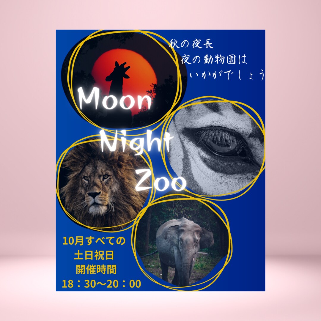 女性デザイナーが親切・丁寧にWEB画像を作成します あなたのご要望をしっかりお聞きしてご提案させていただきます。 イメージ4