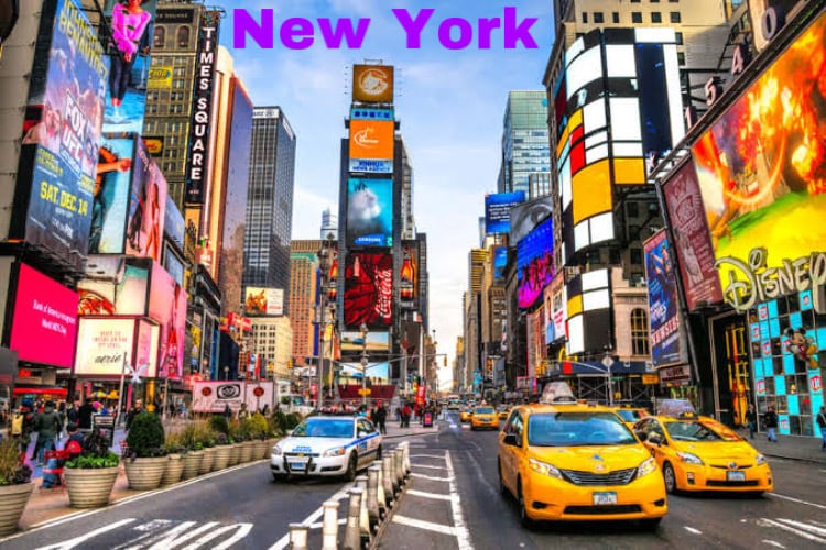 アメリカ旅行や留学の相談にのります アメリカへの旅行を考えていて、少しでもコストを下げたい方へ イメージ2