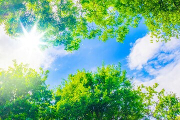 今介護でお疲れのあなたへ　お話聞きます 「介護で息が詰まって家を飛び出しそう」介護士に話しませんか？ イメージ9