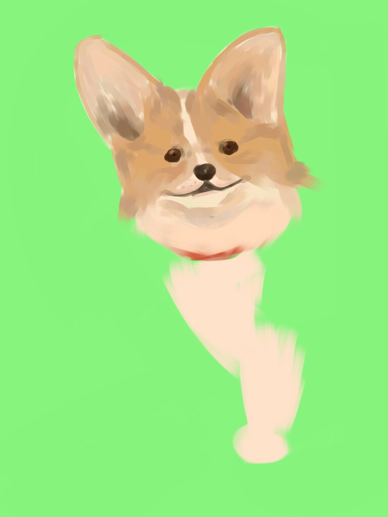 ペットのイラスト描きます シンプルから派手なデザインまで出来る限り答えます。 イメージ3