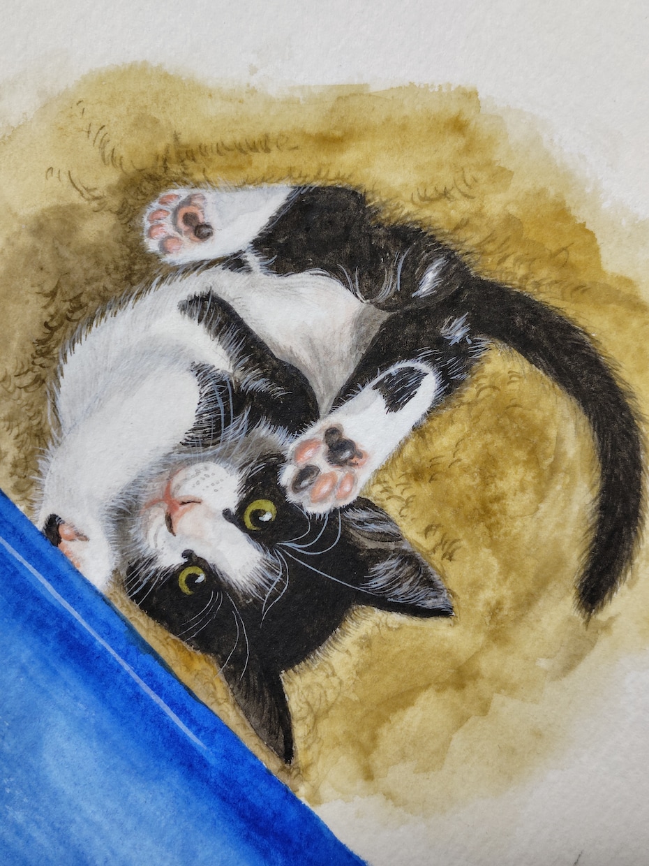猫ちゃん専門！リアル手描き水彩の肖像画ですます 渾身丁寧に描き込む透明水彩画による唯一の原画をお届けします イメージ1