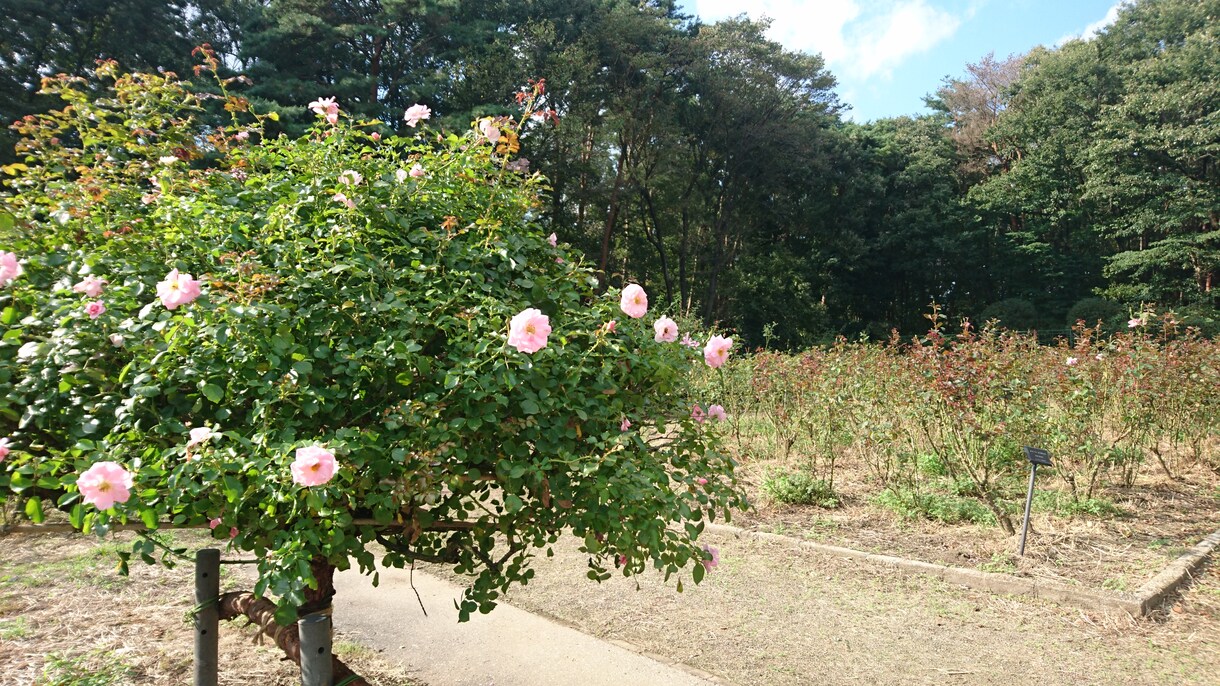 どんなお話でもききます いますぐ誰かにこの気持ちを聞いてほしいかたへ。 イメージ1