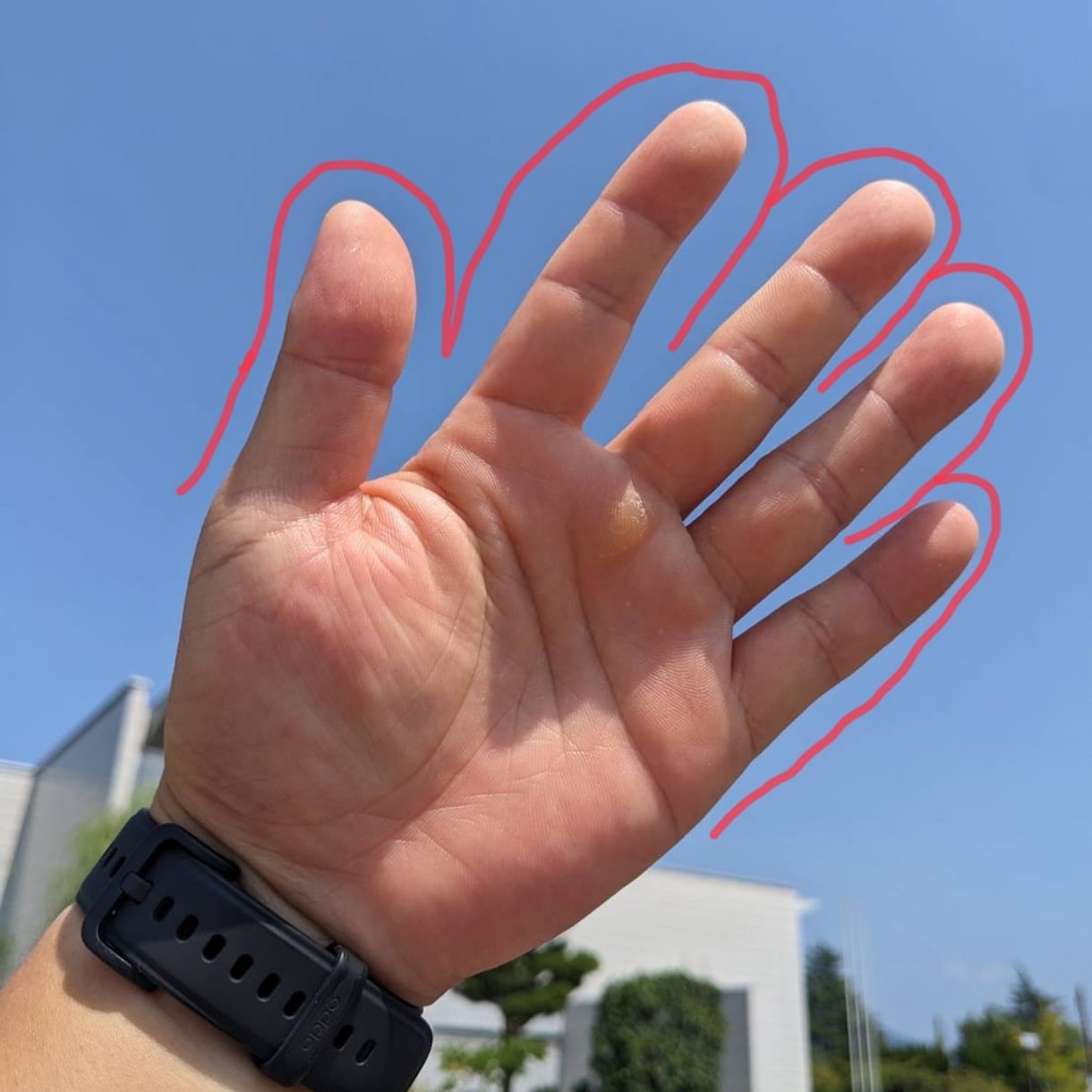手相と九星気学｜少し良い人生。画像解説付で整えます 自分を知り余白を作る。手相と九星気学で今より少し良い明日へ イメージ9