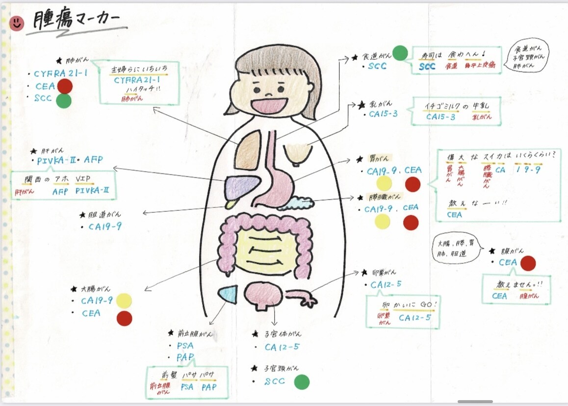 看護の勉強お手伝いします 看護師に向けての勉強資料を提供します！ イメージ3