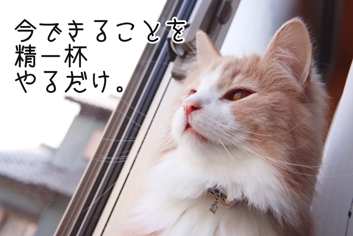 貴方の素敵な写真を加工します 写真のジャンルは問いません!簡単に加工‼︎サムネイルもOK イメージ4