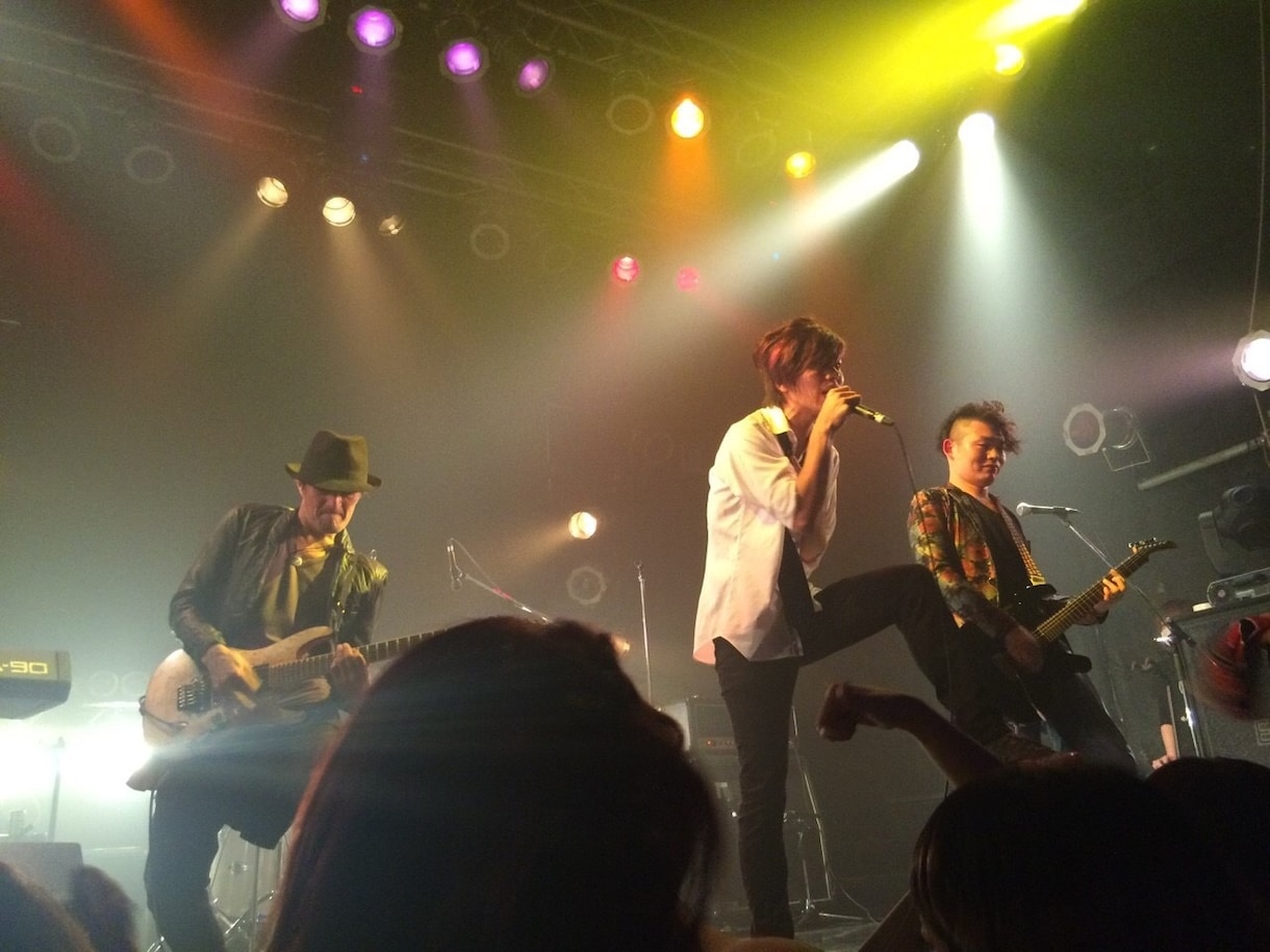 高音発声の奥義を伝授します ミックスボイスをマスターして歌いたい歌を歌いましょう♫ イメージ2