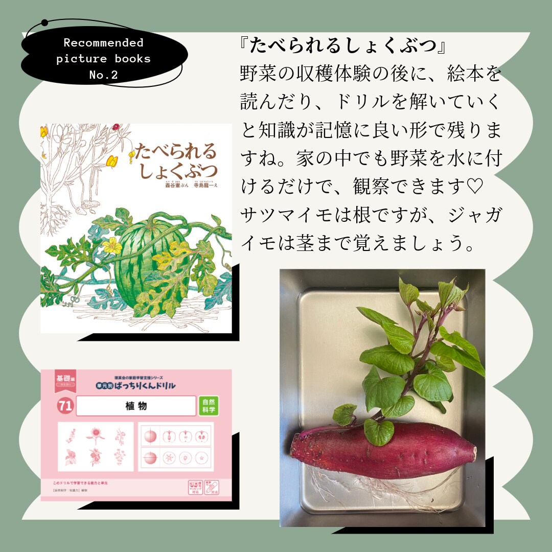 ミッション系女子校小学受験の個別サポート致します 雙葉、白百合学園、聖心女子初等科のペーパー学習計画や願書添削 イメージ4