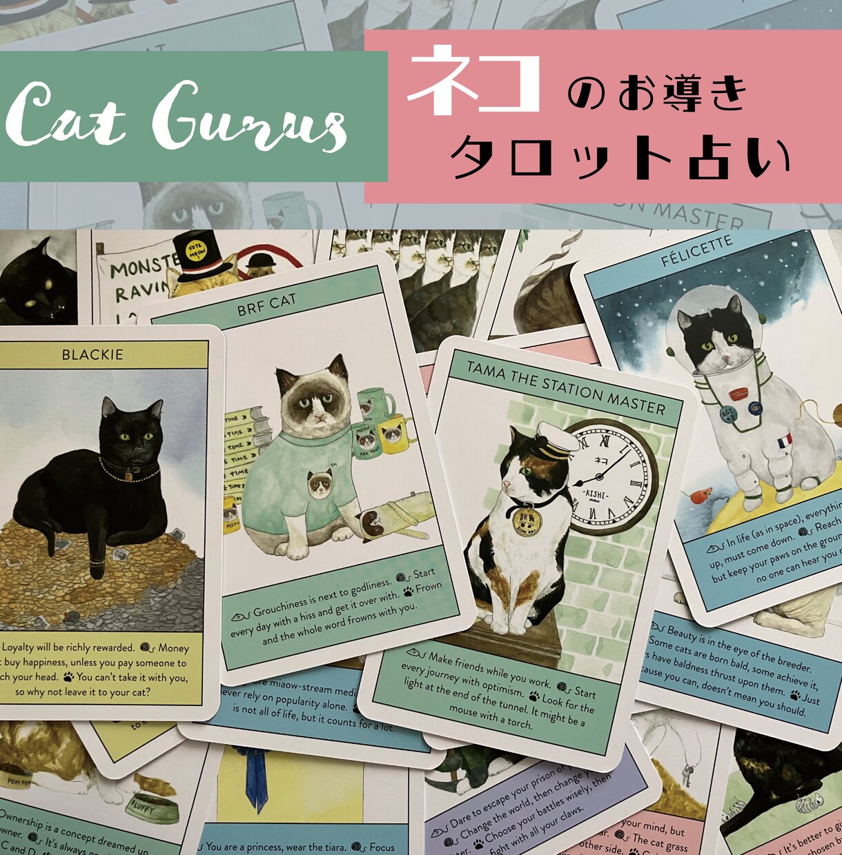 おネコさまのお導きを引きまます Cat Gurus（オラクル）をメインにしたタロット占いです イメージ1
