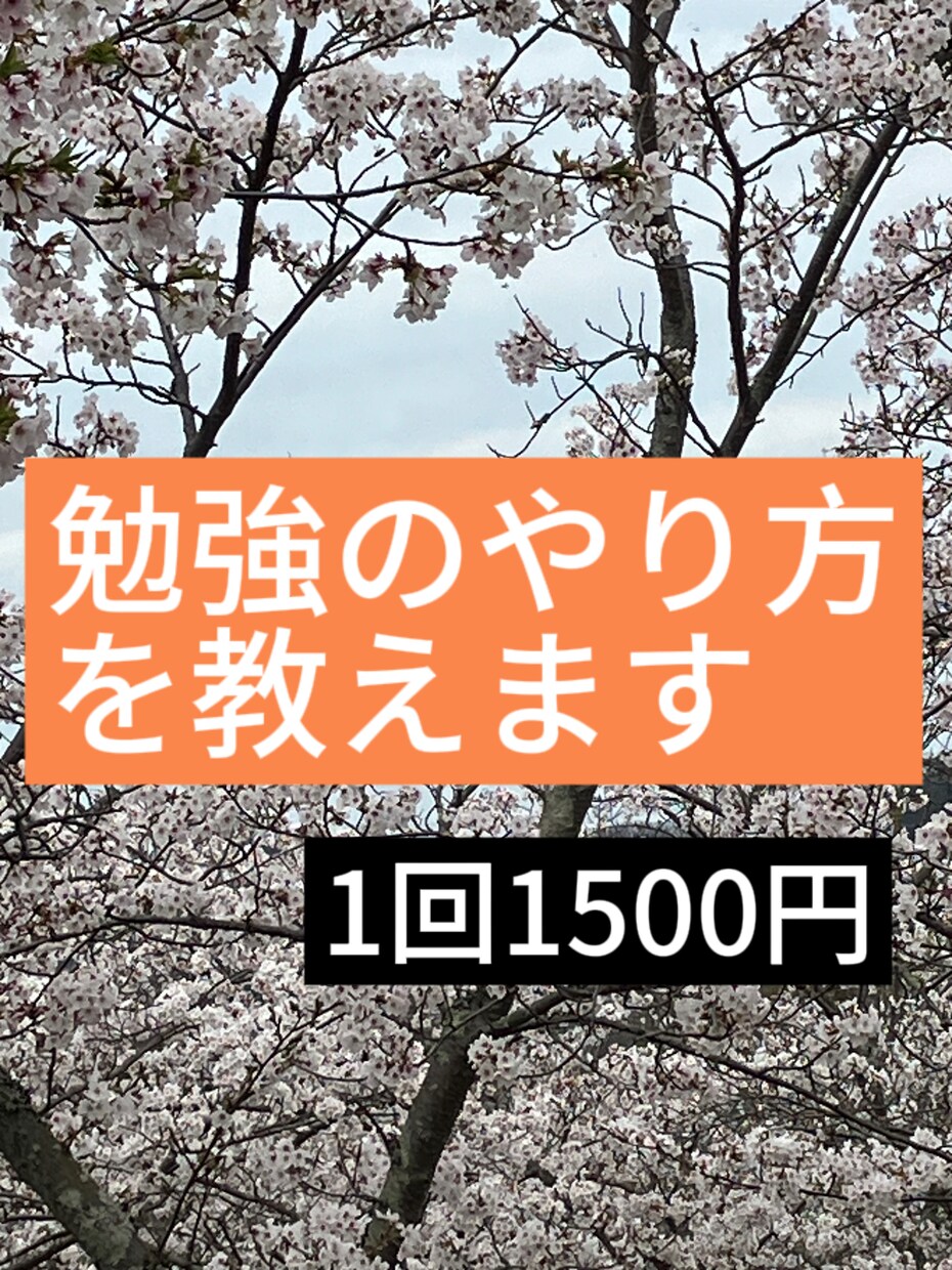 勉強のやり方を指導ます 家での勉強のやり方をサポートします イメージ1