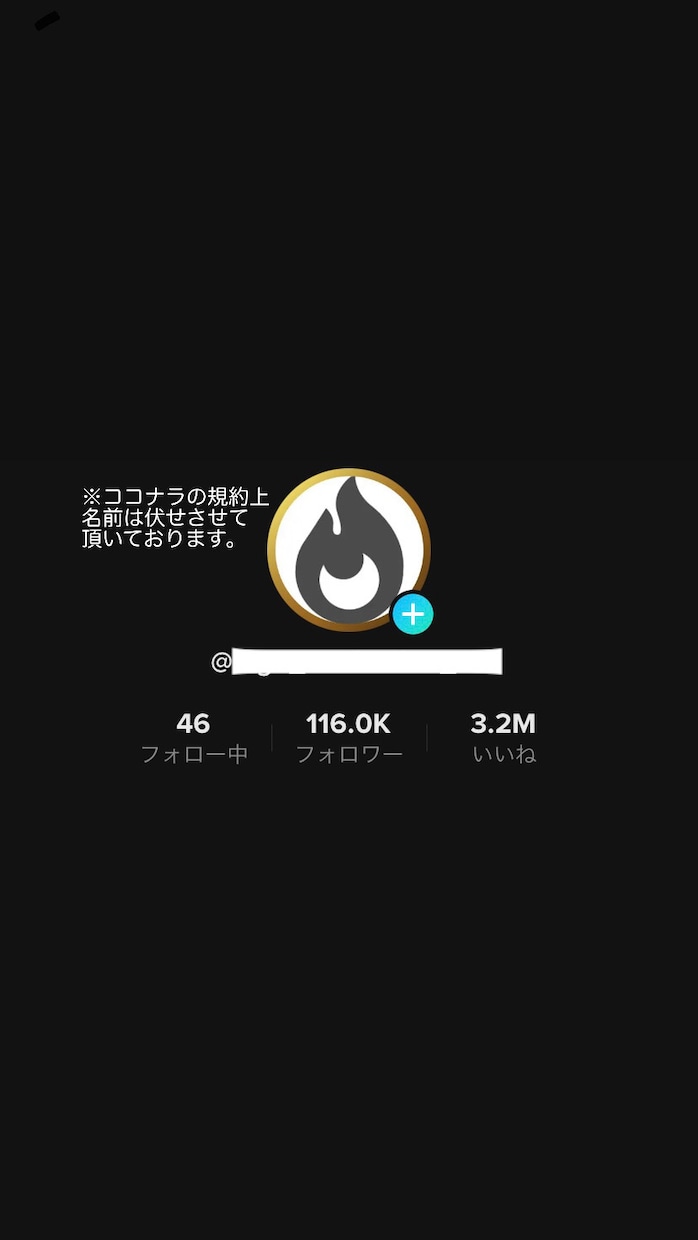 TikTok10万人が編集代行致します TikTokフォロワー10万人のクリエイターが編集代行！ イメージ2