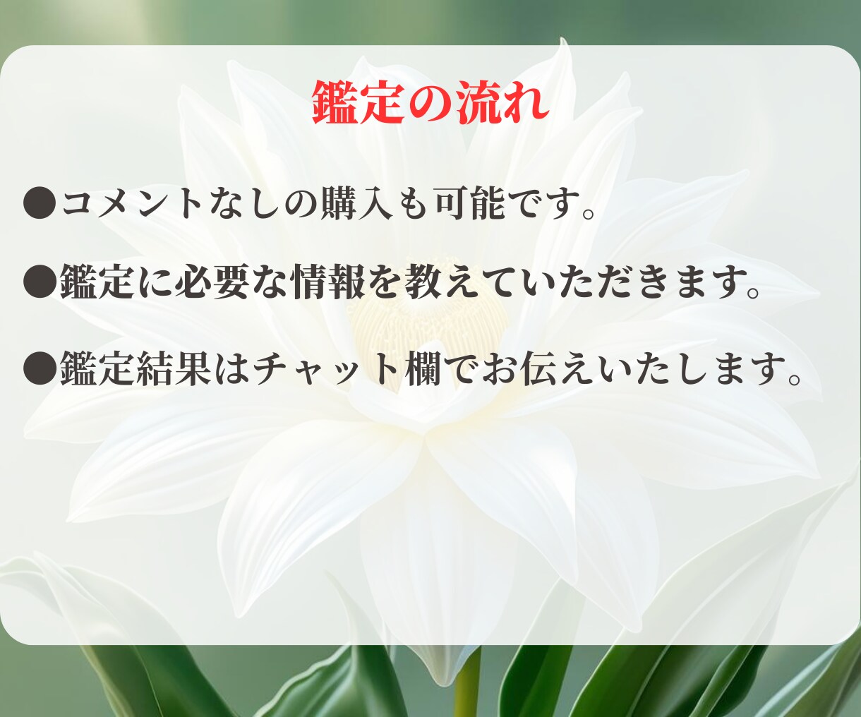 ワンコイン！あなたの強みをみます サクッと鑑定！ポジティブになれるメッセージをお届け イメージ6