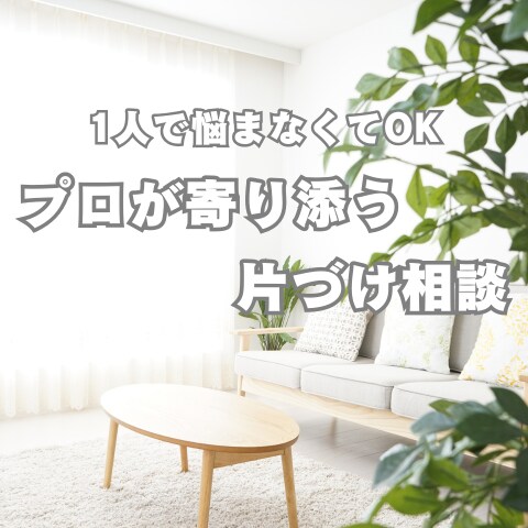 90分であなたの家の片づけられないをサポートします 整理収納アドバイザーがあなたのお家に合った片づけをアドバイス イメージ1