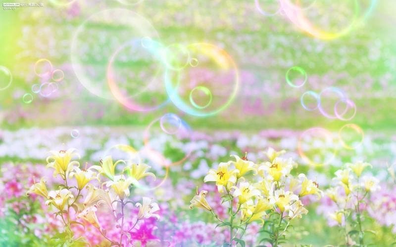 年齢、性別制限なし！愚痴・相談・お話相手になります 大小問わず悩んでいる、話し相手がいなくて寂しい方向け イメージ1
