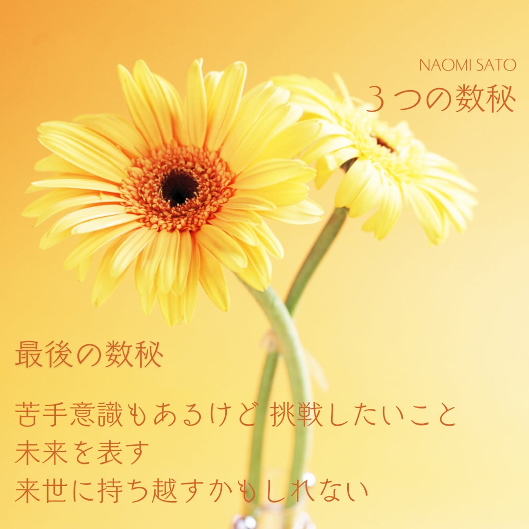 数秘術/貴女の望み叶うパラレルな世界へいざないます タロット(ワンオラクル)高次元からのメッセージもお届けします イメージ6