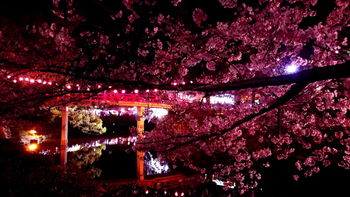 桜の写真販売してます 綺麗なな風景写真をあなたの身近に イメージ1
