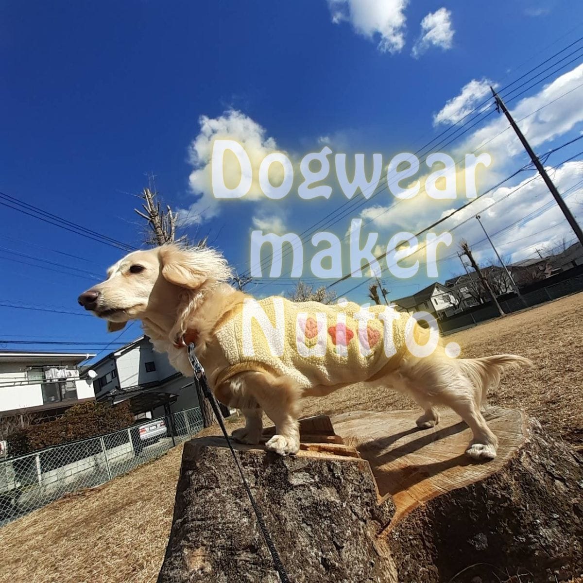 ご新規・飼い主さまと二人三脚でオーダー犬服作ります 愛犬のためだけのハンドメイド服フィッティング＆製作サービス イメージ5