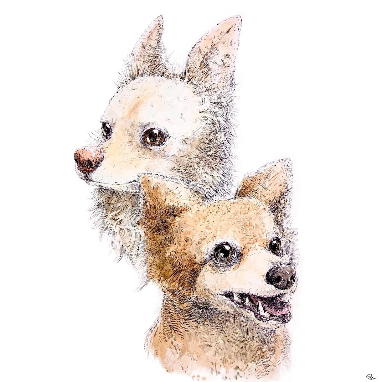 あなたの相棒を描きます 類は関係無し！あなたの家族を絵に残しませんか？ イメージ2