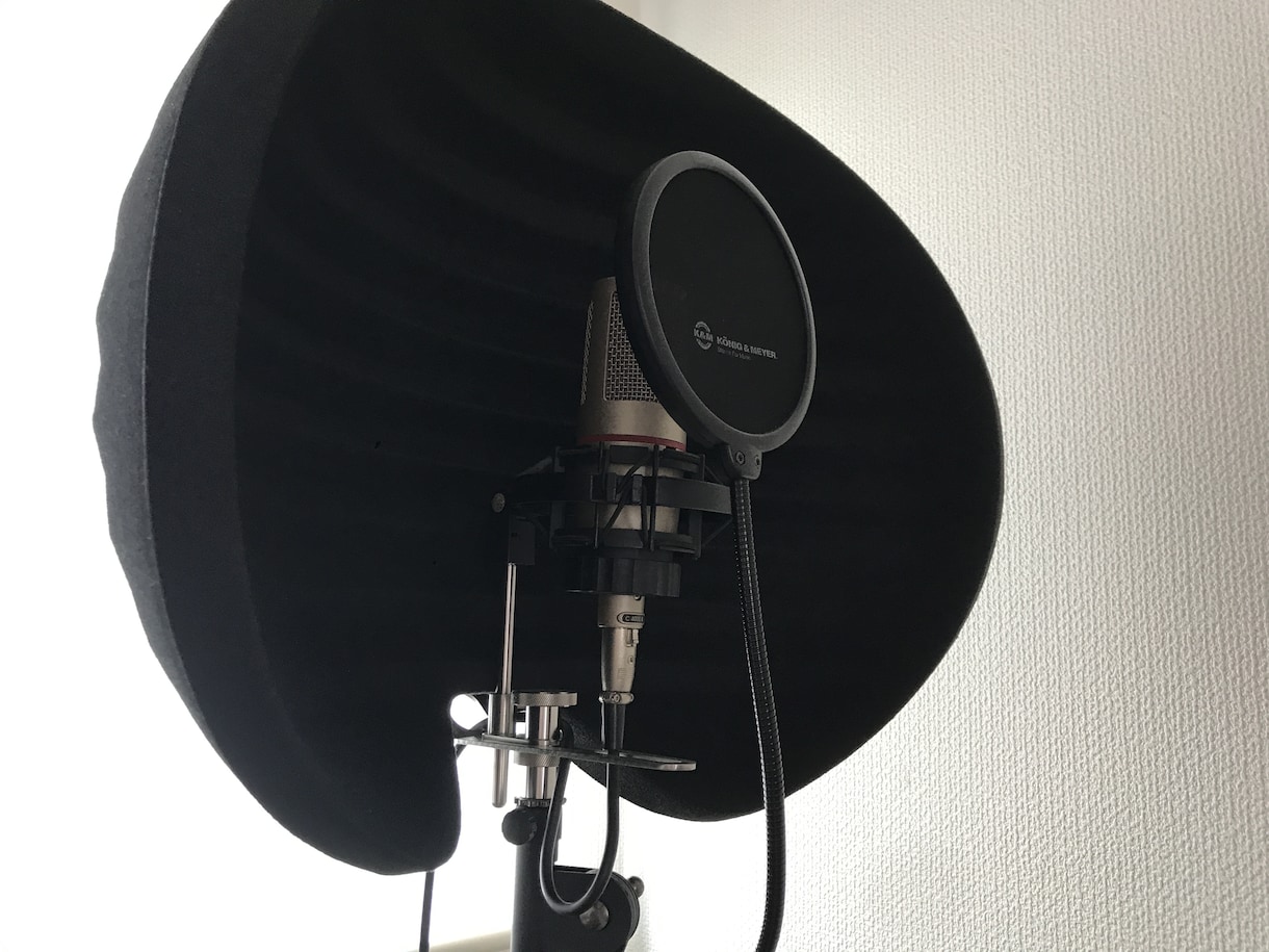 仮歌 (コンペ、デモ作品)歌います リテイク無制限！高品質データ納品 YouTube55万回再生 イメージ2