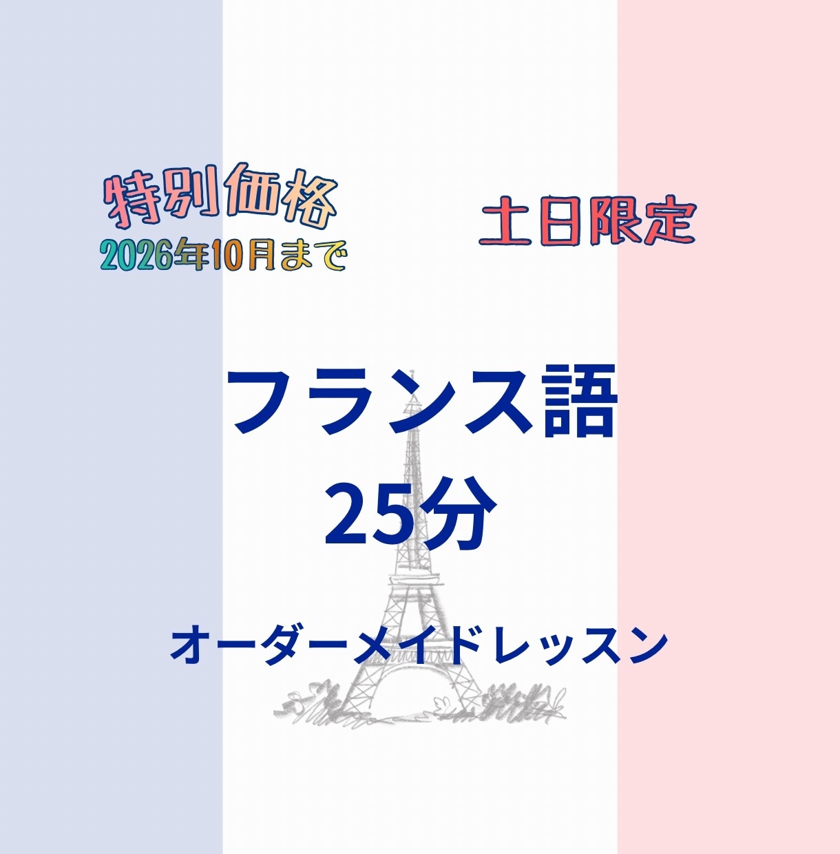 フランス語25分オーダーメイドレッスンします 【2026年10月まで】仏検1級•C1のお母ちゃん先生 イメージ2