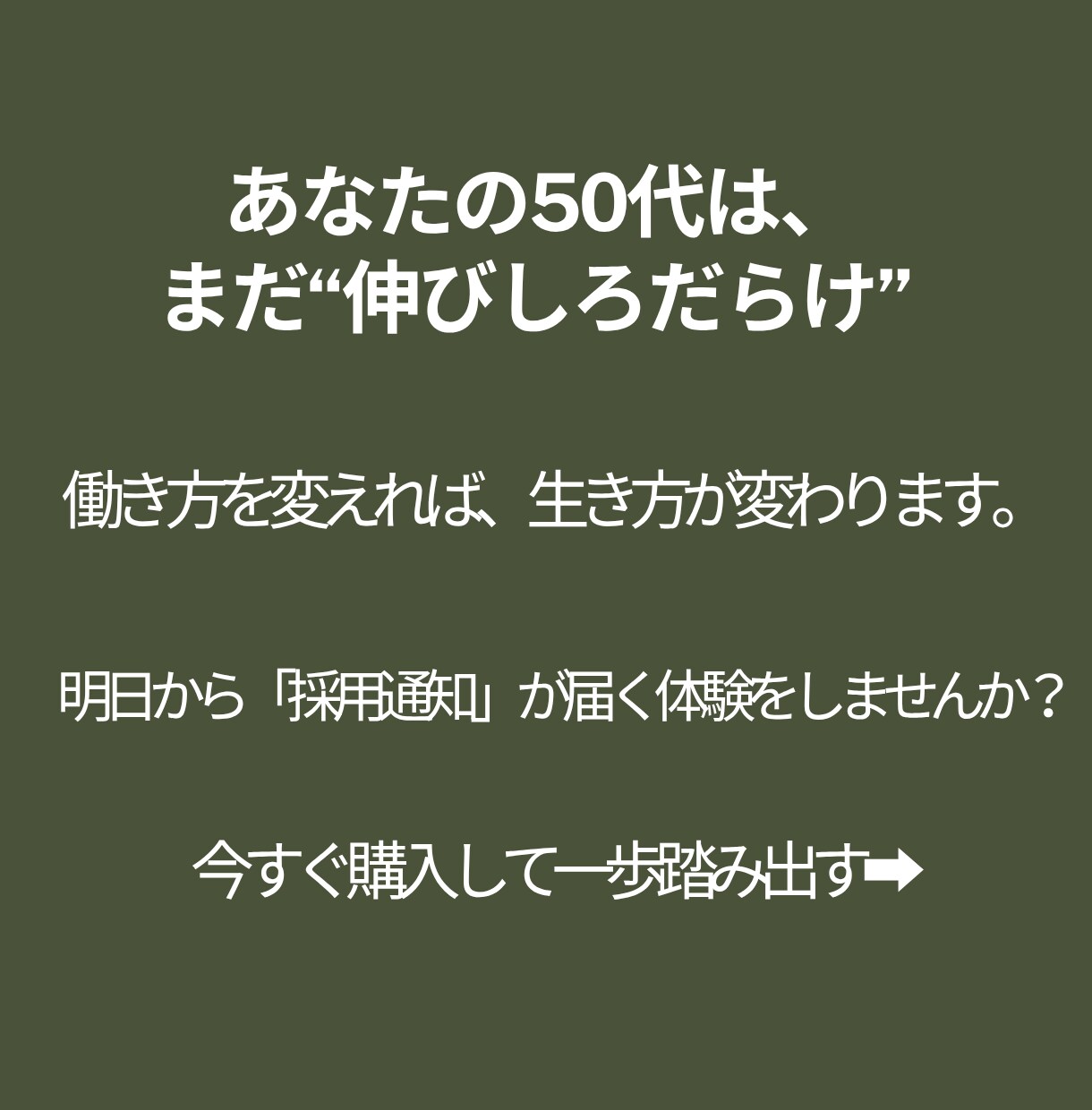 格安！50代未経験CWで選ばれる全戦略を教えます 在宅ワークの始め方、採用率が激変する 魔法のテンプレ付 イメージ6