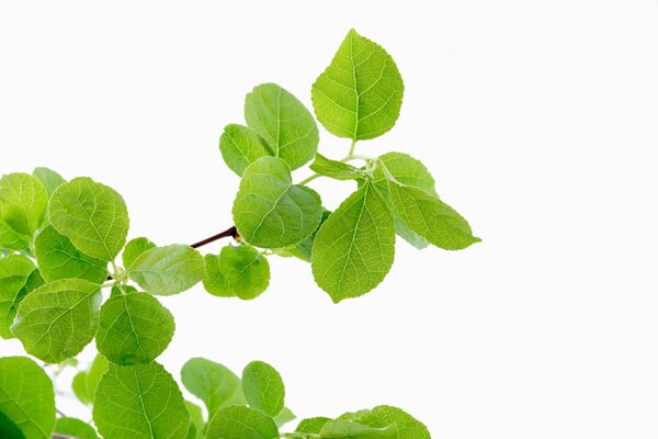 相談も愚痴もok!あなたのママ友になります 子どもへの性教育の伝え方　義実家や旦那の愚痴　育児の悩みなど イメージ10