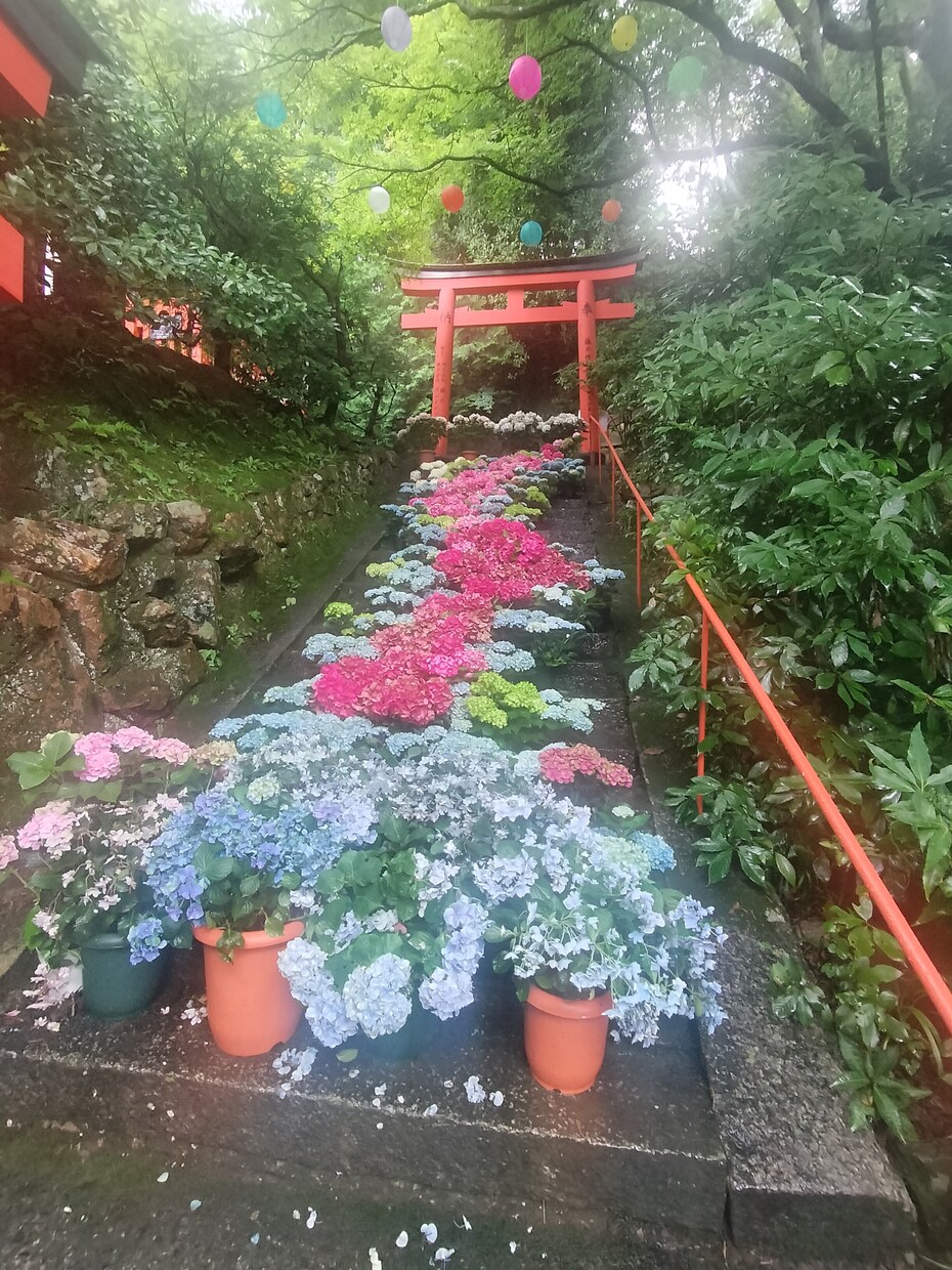 婚外恋愛のお話しうかがいます 誰にも話せないこと、私が聞きます。 イメージ1