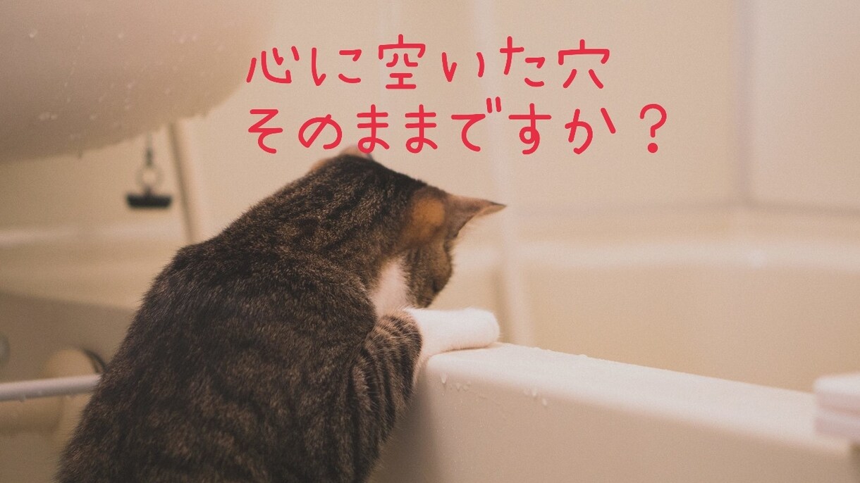 老若男女問わず今、話したいことなんでも聴きます 恋愛相談から日々の生きづらさなど心に寄り添って聴きます。 イメージ1