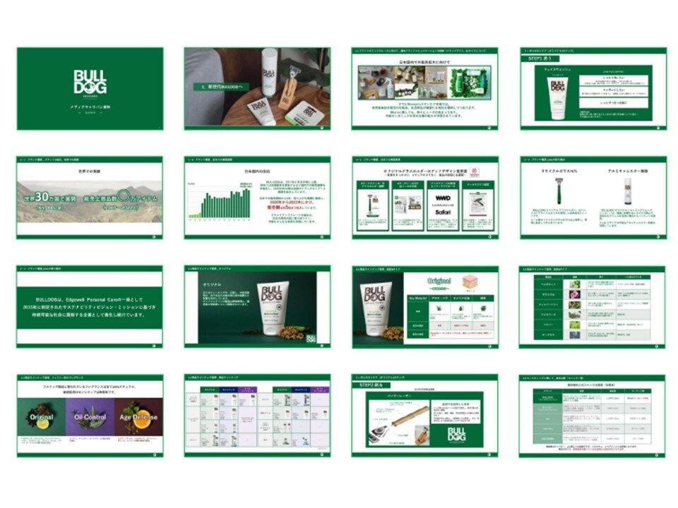 低価格・短納期！パワーポイント資料を作成します ～ビジネス向けのシンプルなPowerPoint作成～ イメージ8