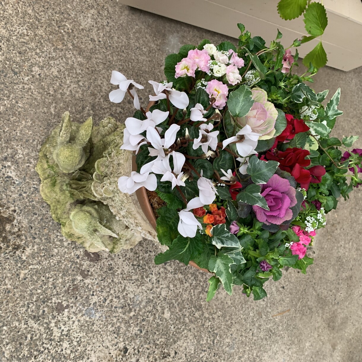 寄せ植えを作ります 四季折々の寄せ植え達をお届けします イメージ8
