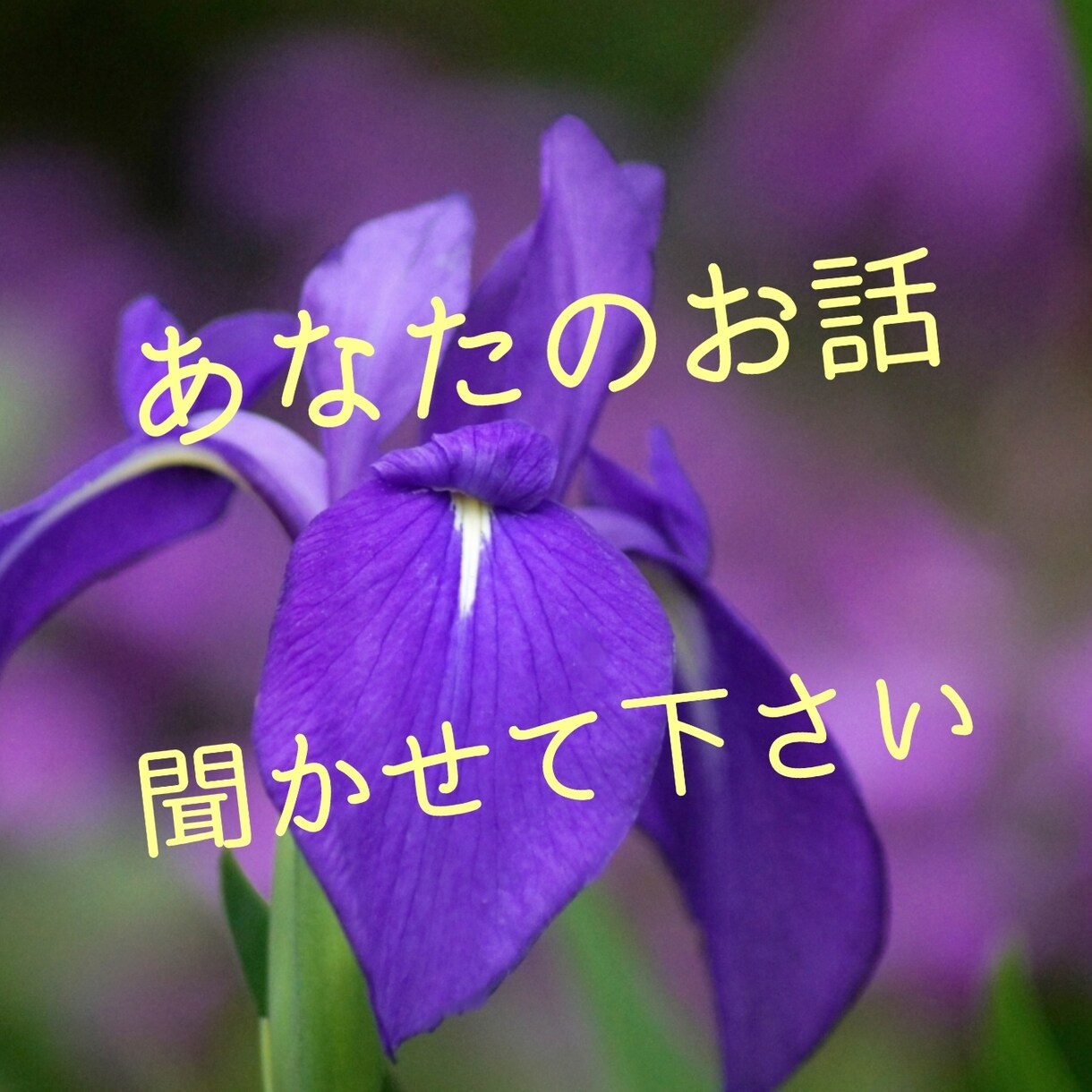 色んなお話を聞いてあなたの心を軽くします アドバイス不要で否定的な意見はいらない方にもオススメ♡ イメージ1
