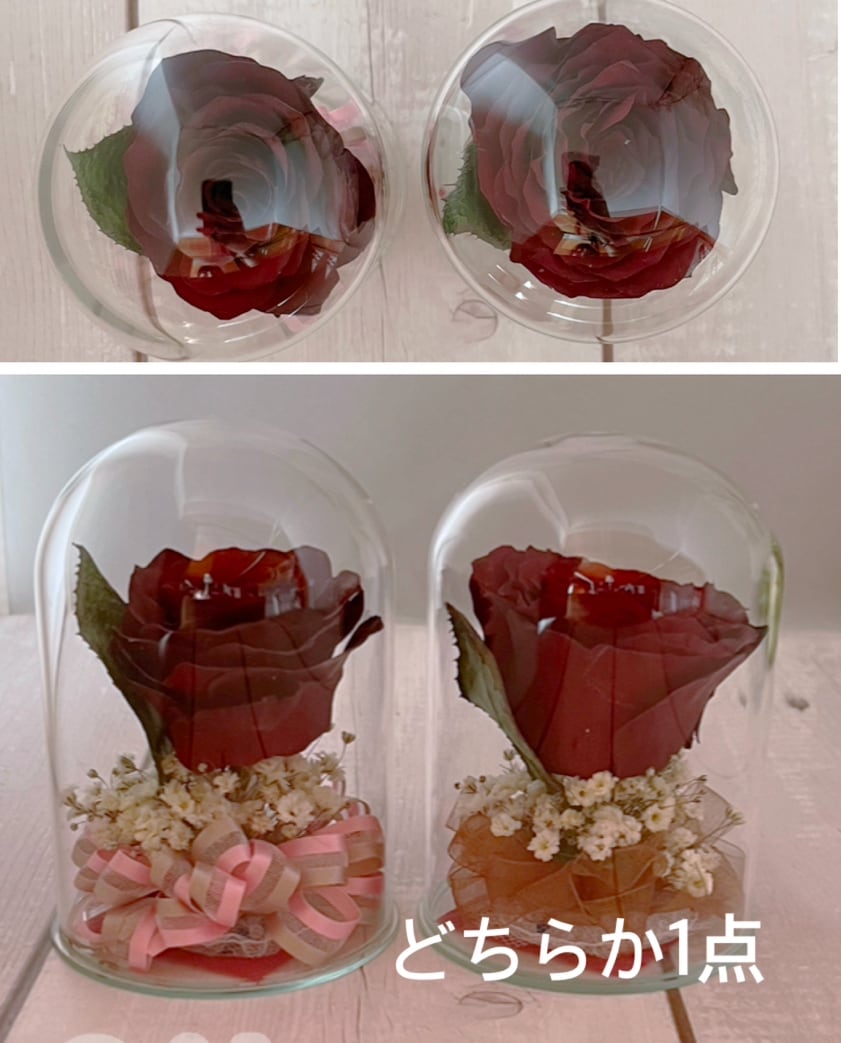ブーケや記念のお花をドライフラワーに加工します 『要事前連絡』♡︎ʾʾ小さな花向け用　ボール2S型 イメージ4