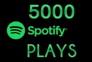 💬ココナラ｜Spotify再生回数5000増えるまで拡散します   Oruka Shop  
                5.0
         …